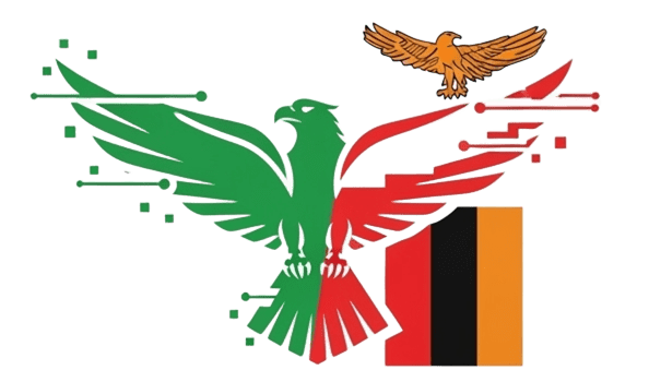 Pamodzi Digital Alliance Logo